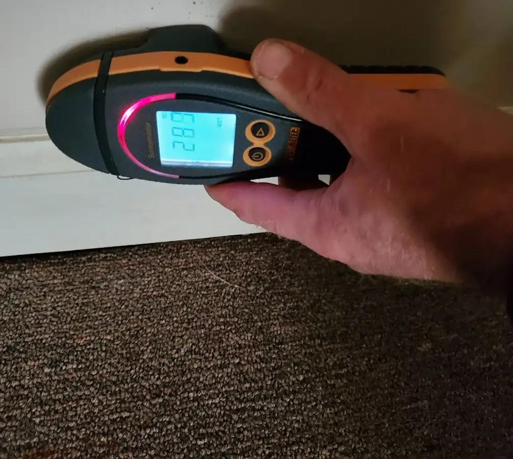 Moisture detection at baseboard during Mold Inspection & Testing in Los Angeles